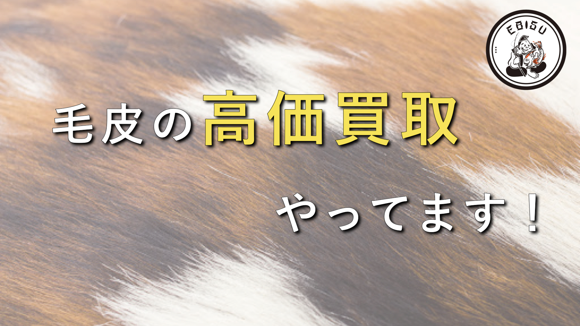 毛皮の種類の高価買取 値段がつきやすい毛皮15選 大阪で出張買い取りなら買取ebisu